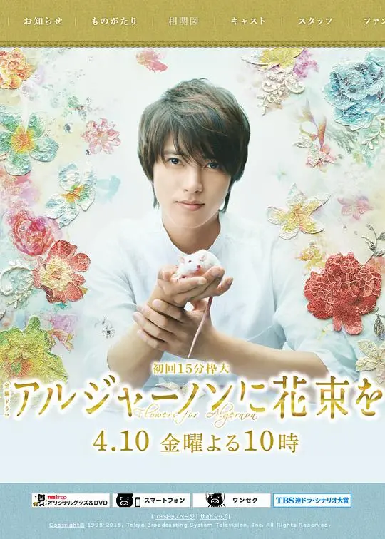 《献给阿尔吉侬的花束》：天才的代价是什么？爱、孤独与人性的拷问！