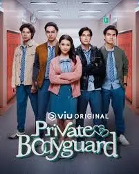 《私人保镖》：硬汉柔情下的致命守护，谁才是幕后黑手？深度解析与情感共鸣！