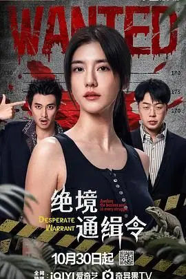 《绝境通缉令》：别只顾着“寻找”真相，这片子的硬核动作和烧脑剧情，才是真绝绝子！