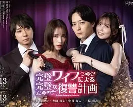 完美妻子的完美复仇计划 海报
